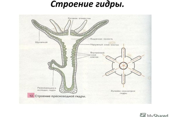 Кракен тор браузер