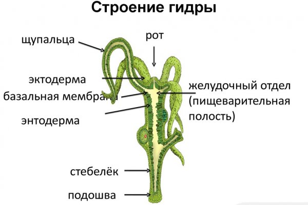 Кракен даркнет как зайти